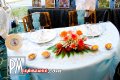 Wedding Show Chelsea Center - Sarasota nightlife photo 172 of 176