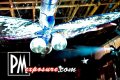 Disco Ball - Sarasota nightlife photo 29 of 48