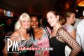 Horse Feather - Sarasota nightlife photo 25 of 123