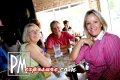 Gecko Hillview - Sarasota nightlife photo 6 of 42