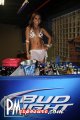 Surfside Sally - Sarasota nightlife photo 62 of 80