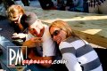 Gilligans - Sarasota nightlife photo 7 of 44