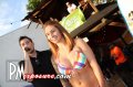 Gilligans - Sarasota nightlife photo 20 of 44