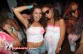 Palm Cafe - Sarasota nightlife photo 63 of 86