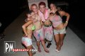 Palm Cafe - Sarasota nightlife photo 76 of 86