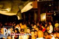 Beach Club - Sarasota nightlife photo 33 of 98