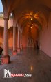 Ringling Museum - Sarasota nightlife photo 22 of 65