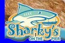Sharky's On The Pier logo